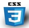 css3